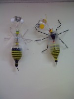 /album/galeria-de-fotos/a25-11-10-0922-jpg/