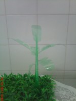 /album/galeria-de-fotos/moto-0019-jpg/