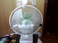 /album/galeria-de-fotos/img00157-jpg/