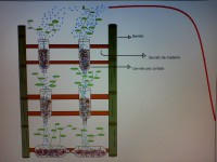 /album/galeria-de-fotos/img00161-jpg/