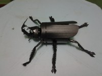 /album/galeria-de-fotos/a20140916-180333-jpg/