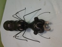 /album/galeria-de-fotos/a20140915-174429-jpg/