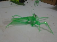 /album/galeria-de-fotos/a20140915-000054-jpg/