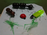 /album/galeria-de-fotos/a20140915-190551-jpg/